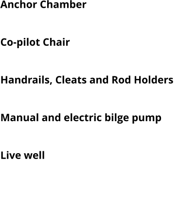 Anchor Chamber    Swivelling Pilot Chair    Co-pilot Chair   Bow Roller   Handrails, Cleats and Rod Holders   Folding Ladder Manual and electric bilge pump   Navigation lights   Live well Switch Panel With USB Plug